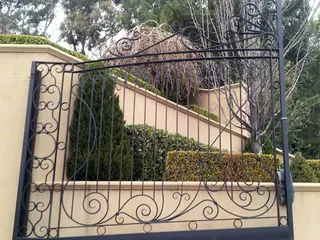 Decorative wrought iron gate with sweeping scroll patterns